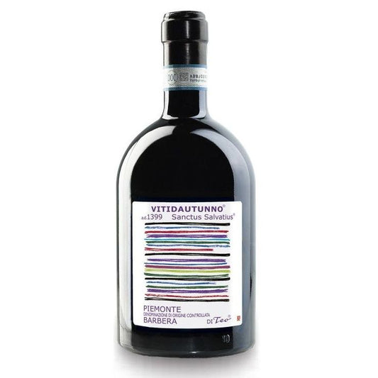 Barbera Passita Vitidautunno Teo Costa